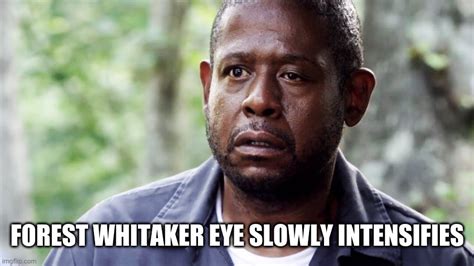 forest whitaker memes|whitaker eye meme.